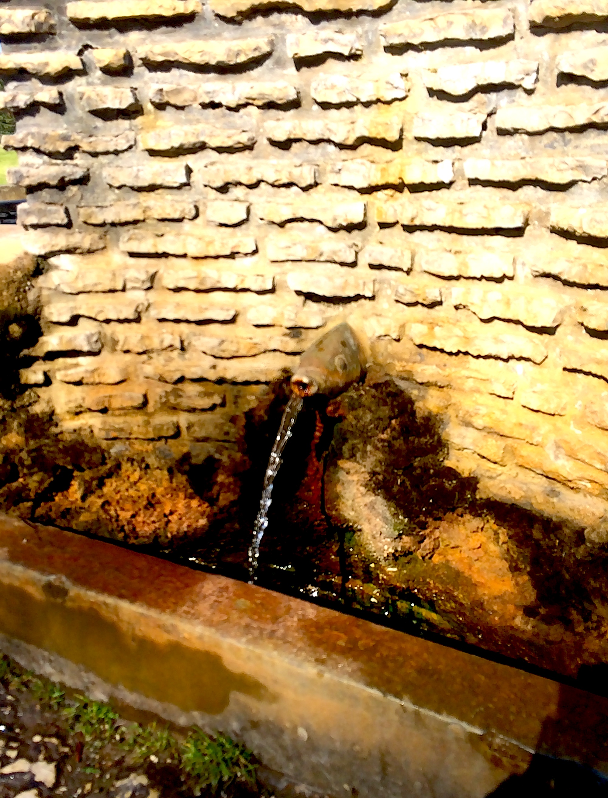 Free mineral water in Balatonfüred, Berzsenyi spring.
