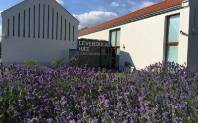 Lavender house – a must see with kids in Tihany